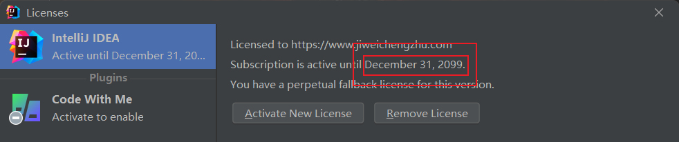 IntelliJ IDEA 2021.3永久激活破解至2099年(亲测有效,持续更新)